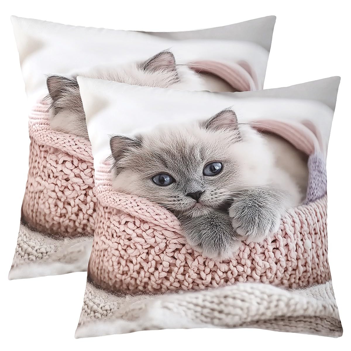 Housse coussin imprimer chaton mignon taie oreiller animaux de compagnie 60x60 cm