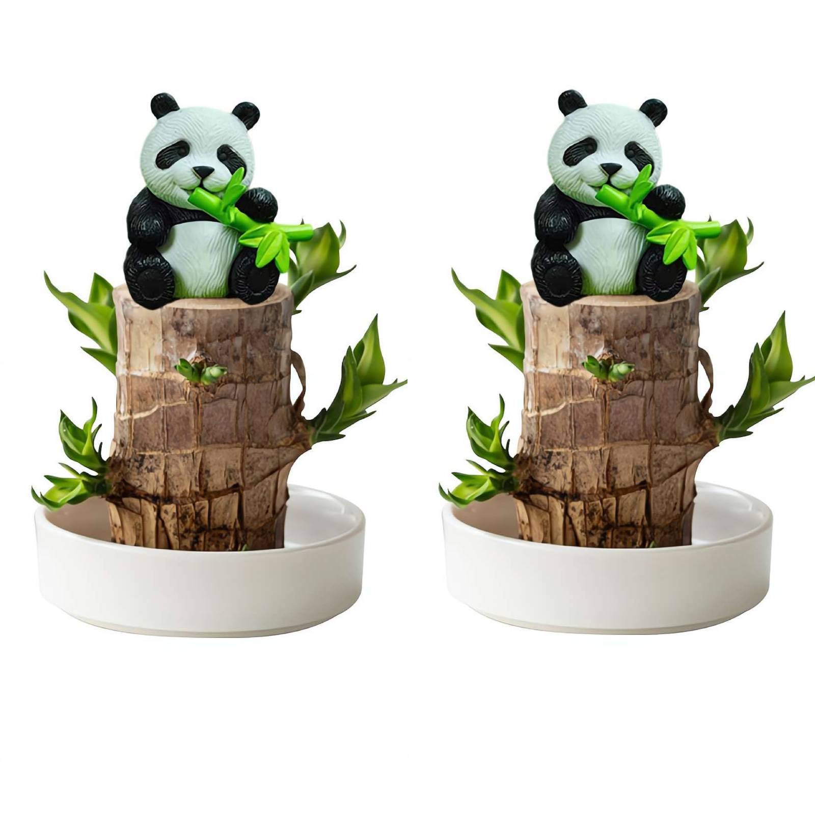 Lot De 2 Bois Porte-Bonheur Du Brésil Avec Pots Et Pandas Mignons – Plantes Hydroponiques Chance & Prospérité