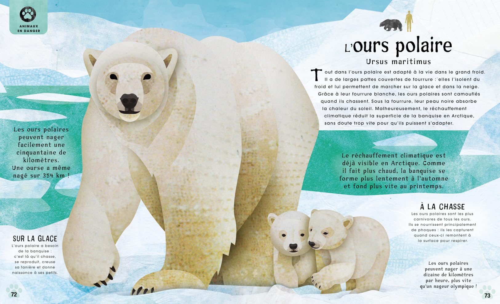 Incroyables animaux disparus ou menacés