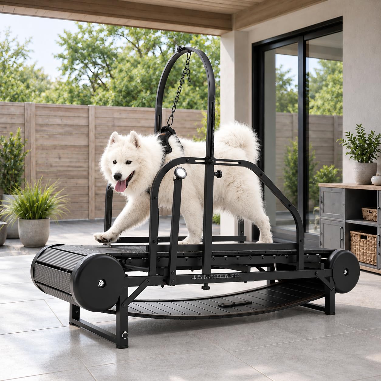 Dog Treadmill for Large Dogs with Manual Brake &amp; Timer, 18" Usable Width