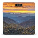 Blue Ridge Parkway Mountains Scale for Body Weight Digital Bathroom Scale Precision Smart Weighing Scales with Clear LED Display Accurate High Precision Scales Weighing Machine