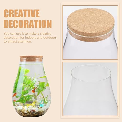 Miniatura 7 de Botella de vidrio de terrario de peces Betta DIY – Contenedor multifuncional para plantas de interior, decoración del hogar y almacenamiento –
