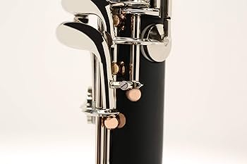 Amazon.com: Duo Shine ST2 Bb Clarinet, 18Keys, Intermediate