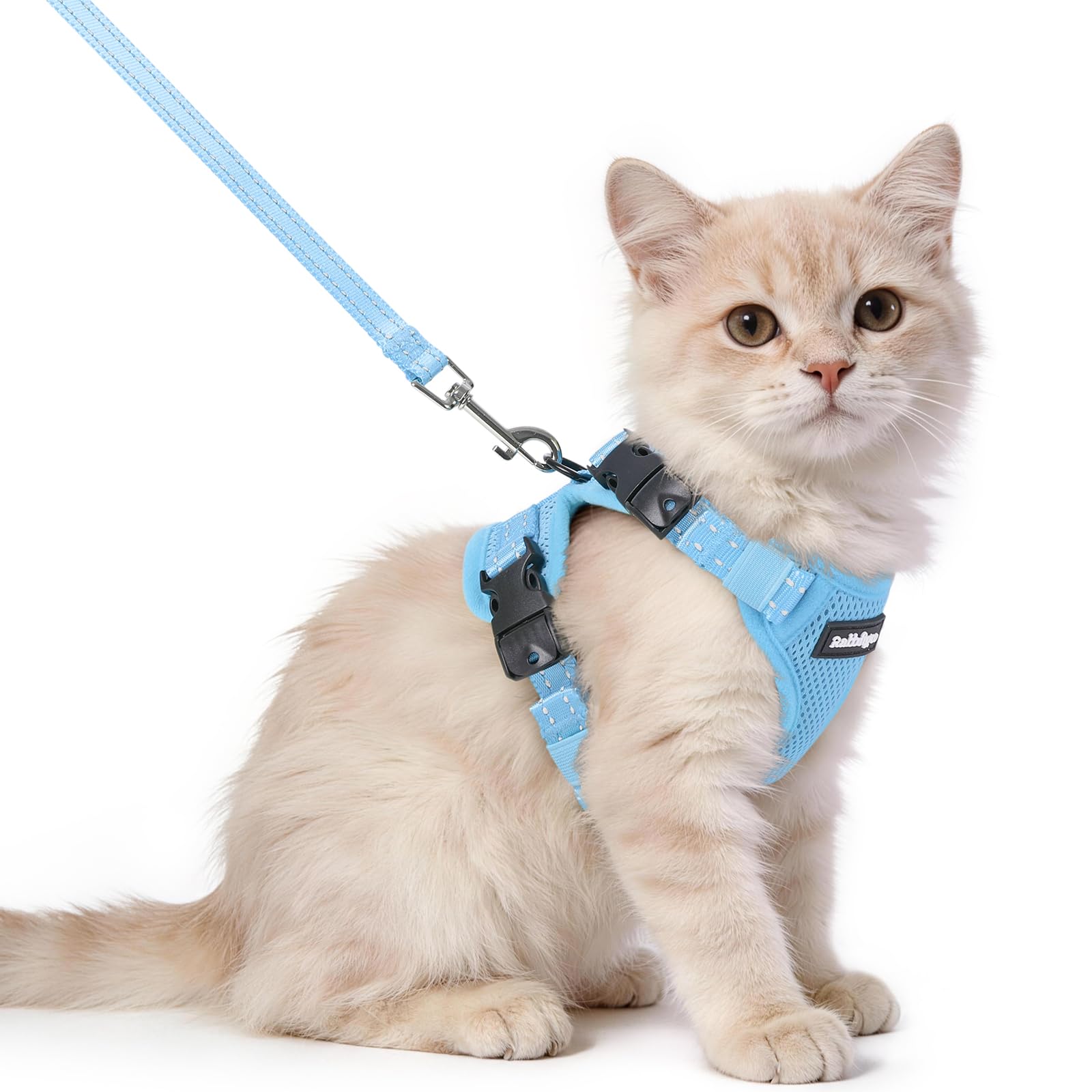rabbitgoo Cat Harness and Leash