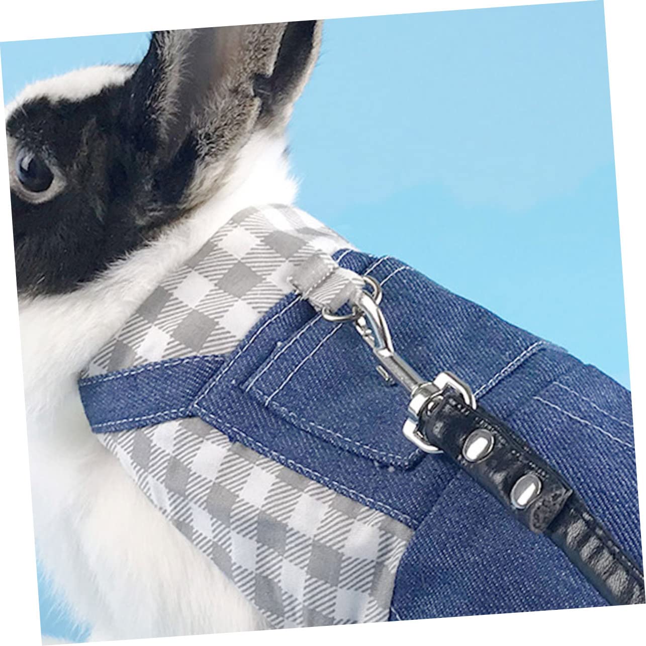 Mipcase 3stücke Kaninchen Geschirr Set Mit Verstellbares Leichtes Und Tragbares Geschirr Für Kleine Haustiere Wie Kaninchen Meerschweinchen Und Frettchen Für Und Outdoor-aktivitäten