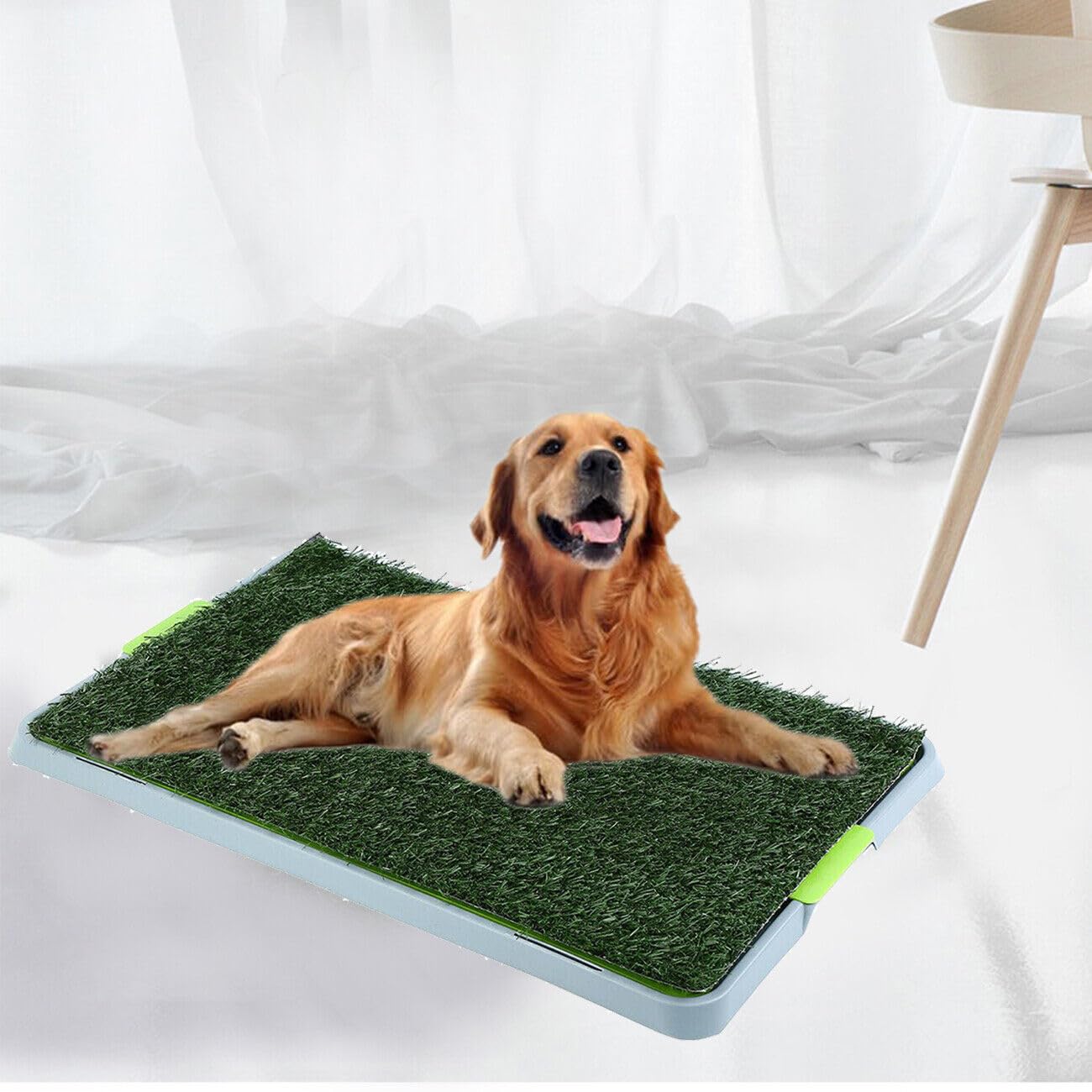 Toilettes pour Chien Bac à litière en Gazon Artificiel 67 x 42 cm, avec Gazon-Artificiel,Facile à Nettoyer Coussinets de Gazon Artificiel pour Petit Chien