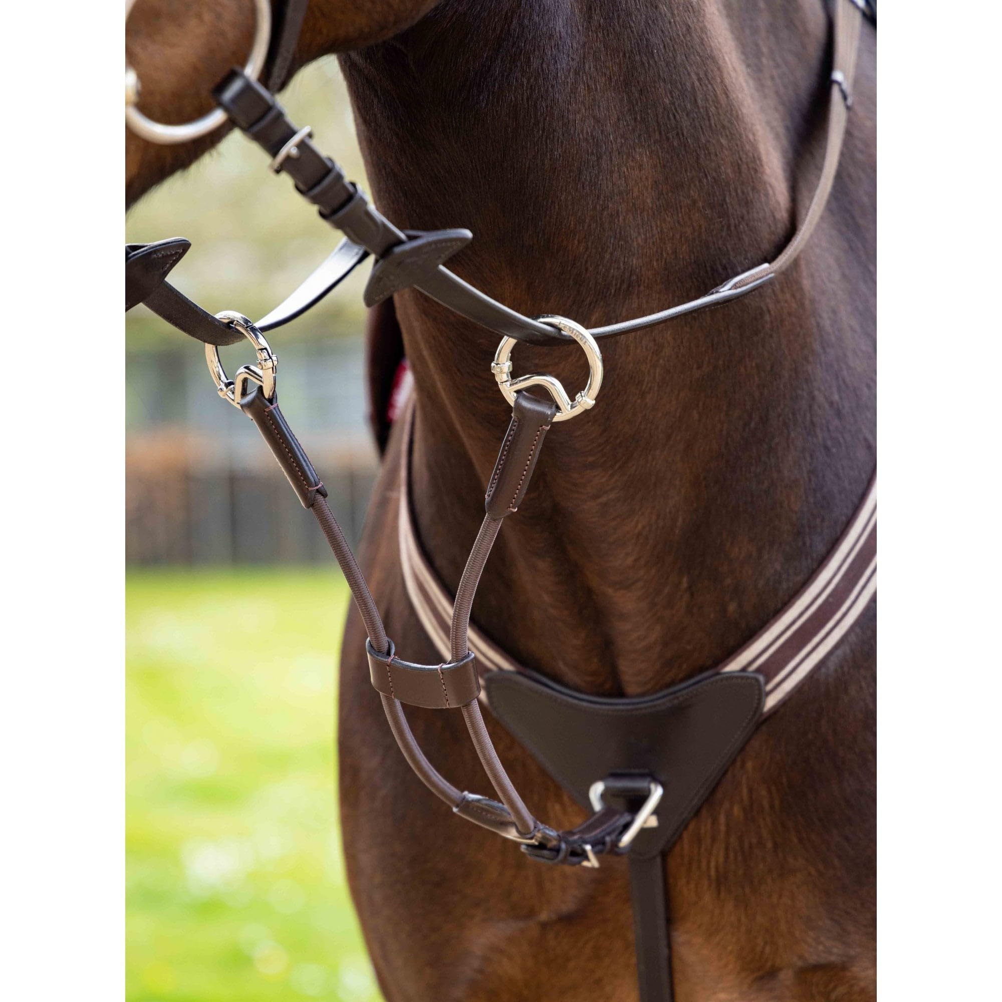 LeMieux Elastische Martingale-Befestigung – Braun/Silber