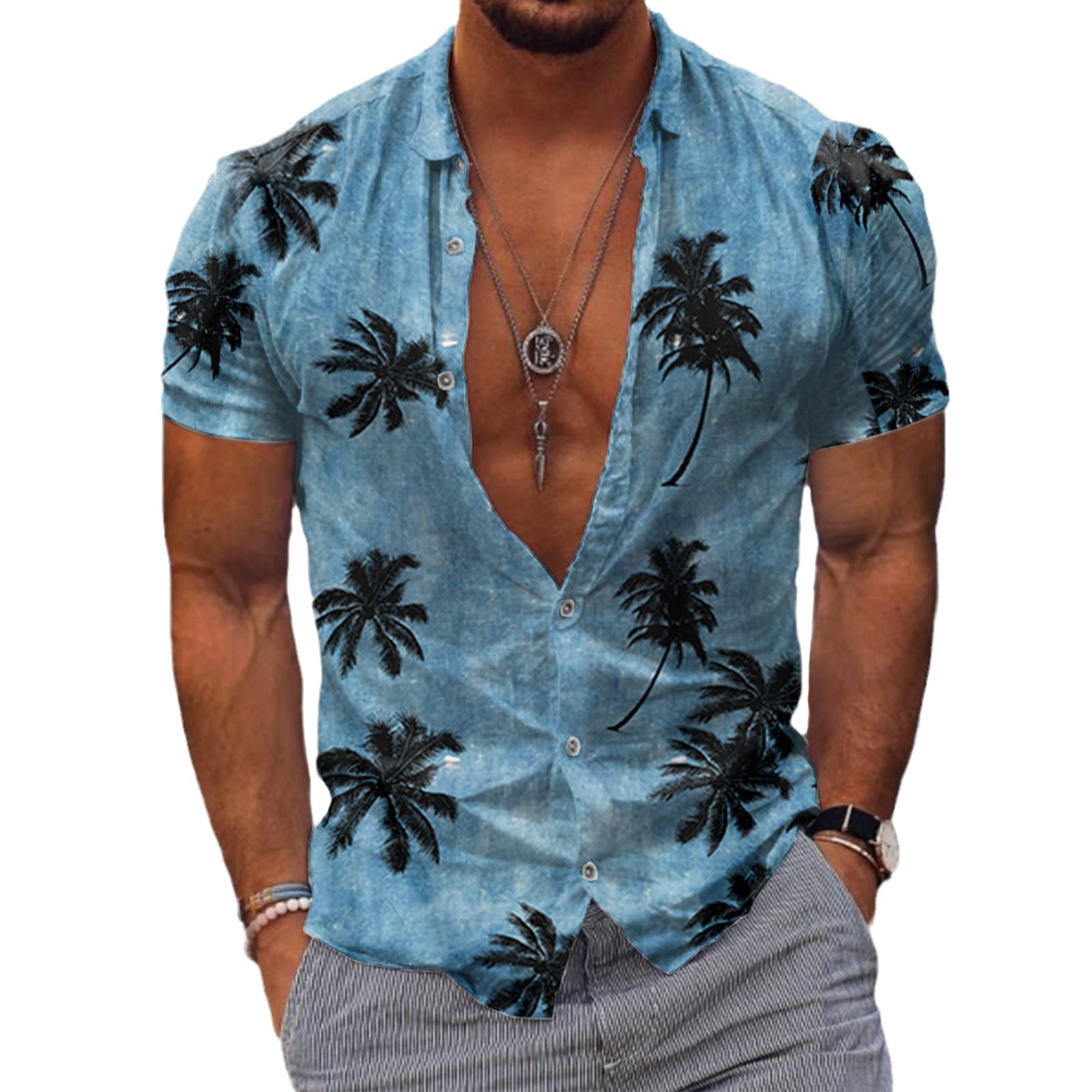 HanzhuoLGMen's Plus Size Hawaiian 3D Printed Short Sleeve Shirt Summer Beach Shirts