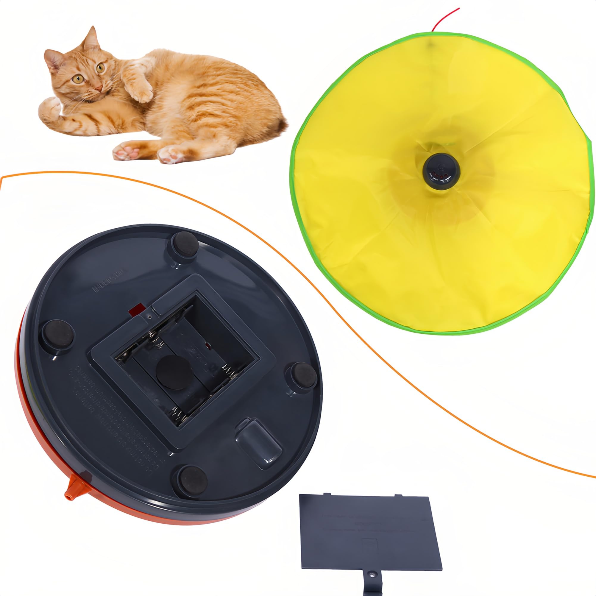 Can a Cat Catch Something for a Toy? Fun Facts Revealed!