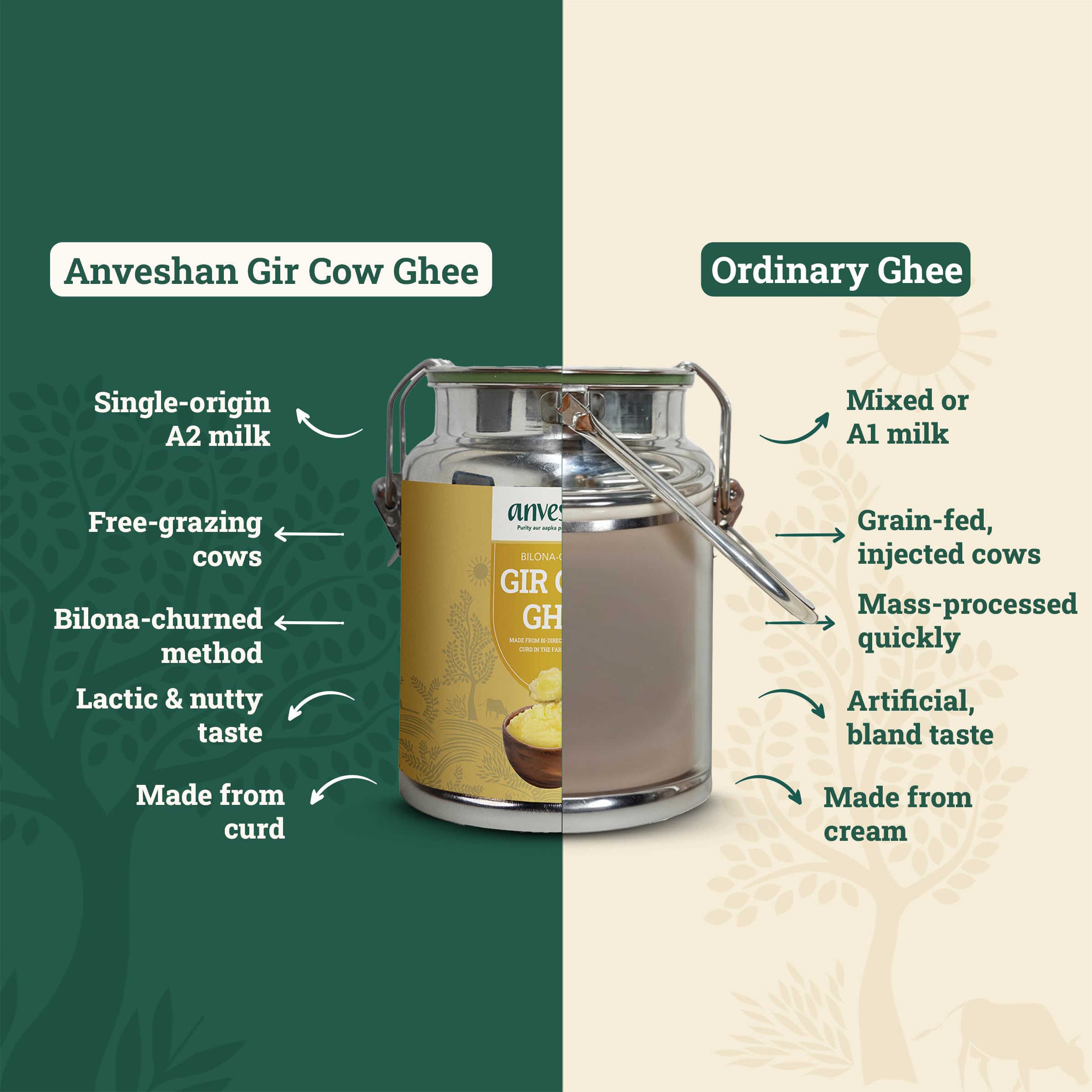 Anveshan A2 Gir Cow Ghee - 5L Dolchi | Traditional Bilona Method | Curd- Churned | Cultured | Pure and Nutural | Lactose and Gluten Free | Lab Tested product image 3