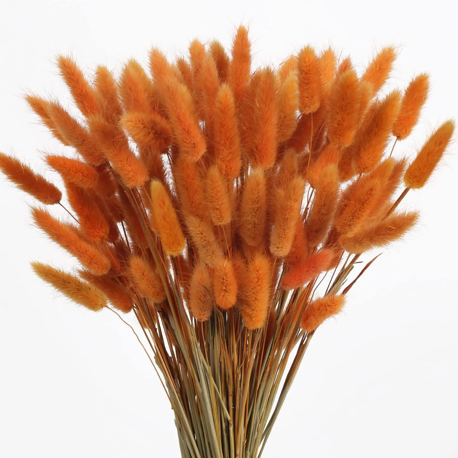 Lot 120 Fleurs Séchées Naturelles - Pampas, Queue De Lapin, Roseaux - 43cm - Décoration Maison