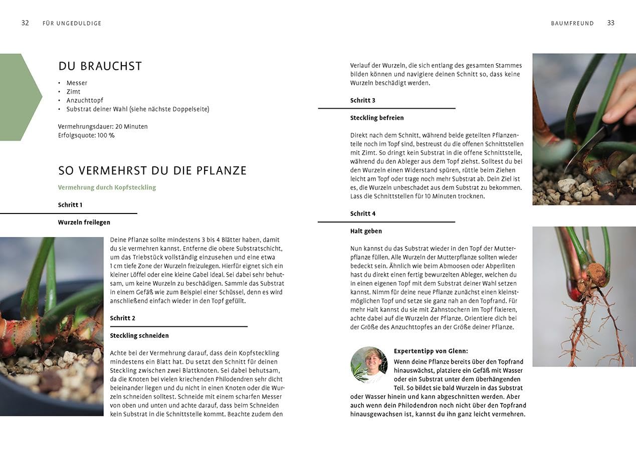 Grow your Jungle: Zimmerpflanzen ganz einfach vermehren. Ableger ziehen mit Crazyplantboy