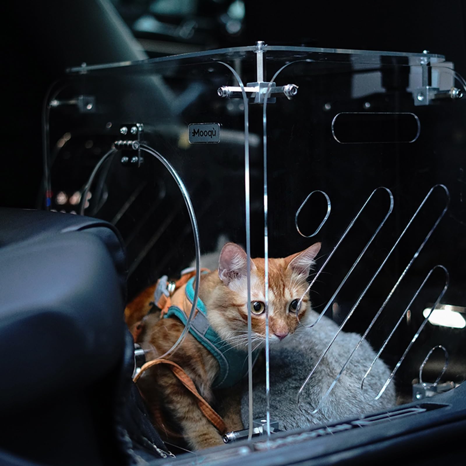 Maleta para Gatos con Ruedas y Varilla Telescópica, Trasportines Gato Grande, Transpirables, Fáciles de Interactuar, Transportines Mascotas Rigido para 1-2 Gatos