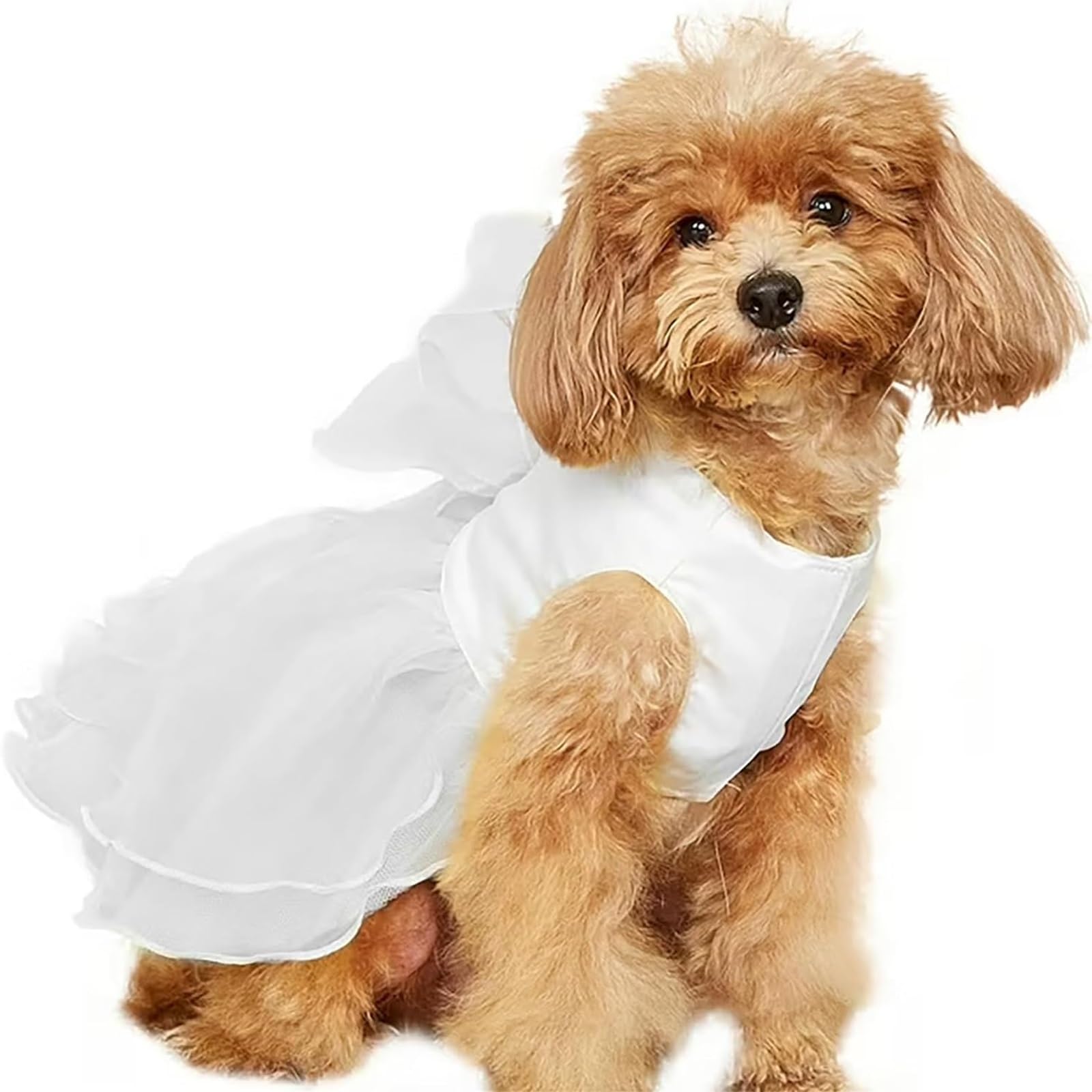 Dog Princess Dress for Small Dogs Girl, Puppy Wedding Tulle Tutu Skirt, Summer Lace Dog Dress With Bow, Pet Summer Costume for Wedding Party Birthday(White,S)