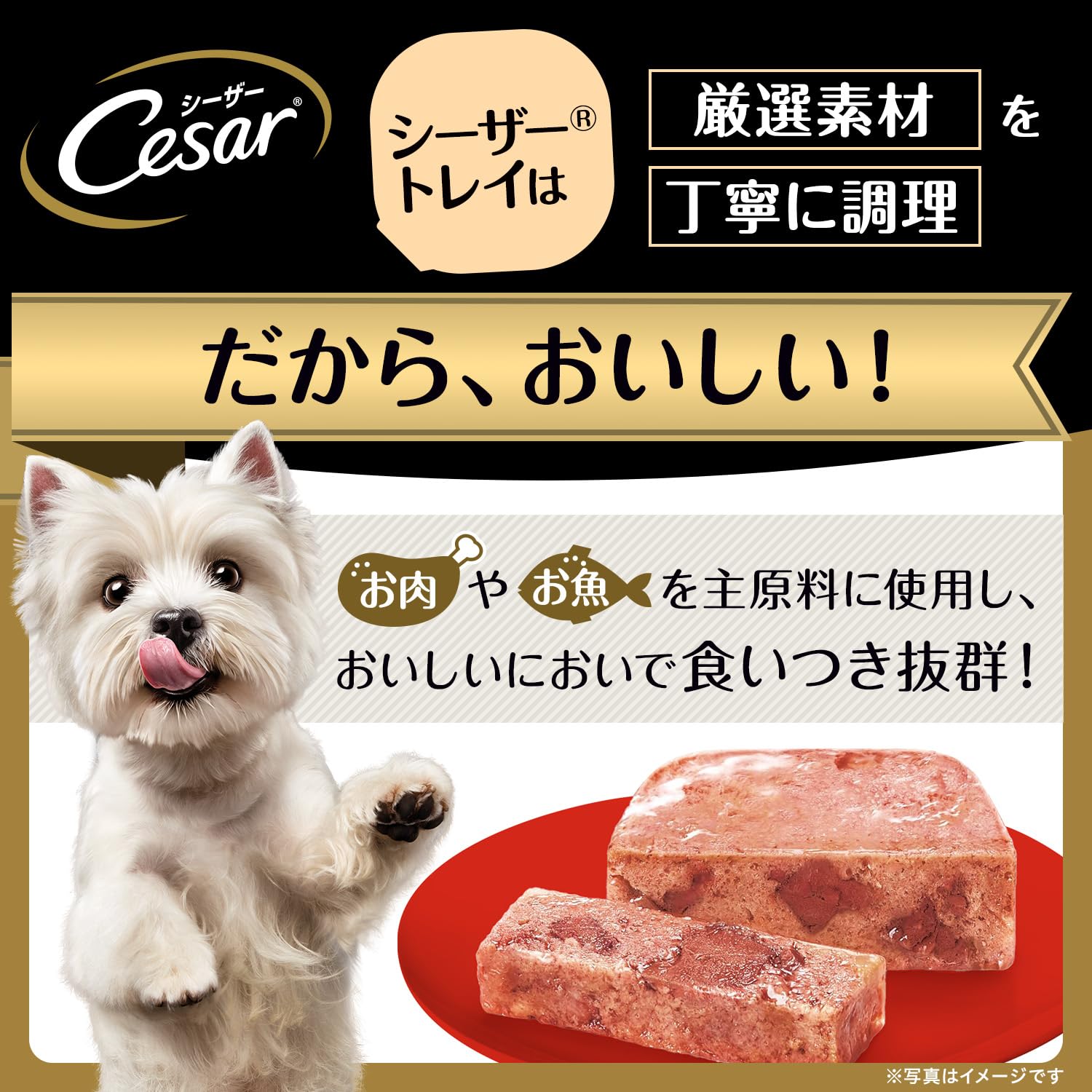 Amazon.co.jp: ［お試しサイズ］シーザー ドッグフード おうちレシピ