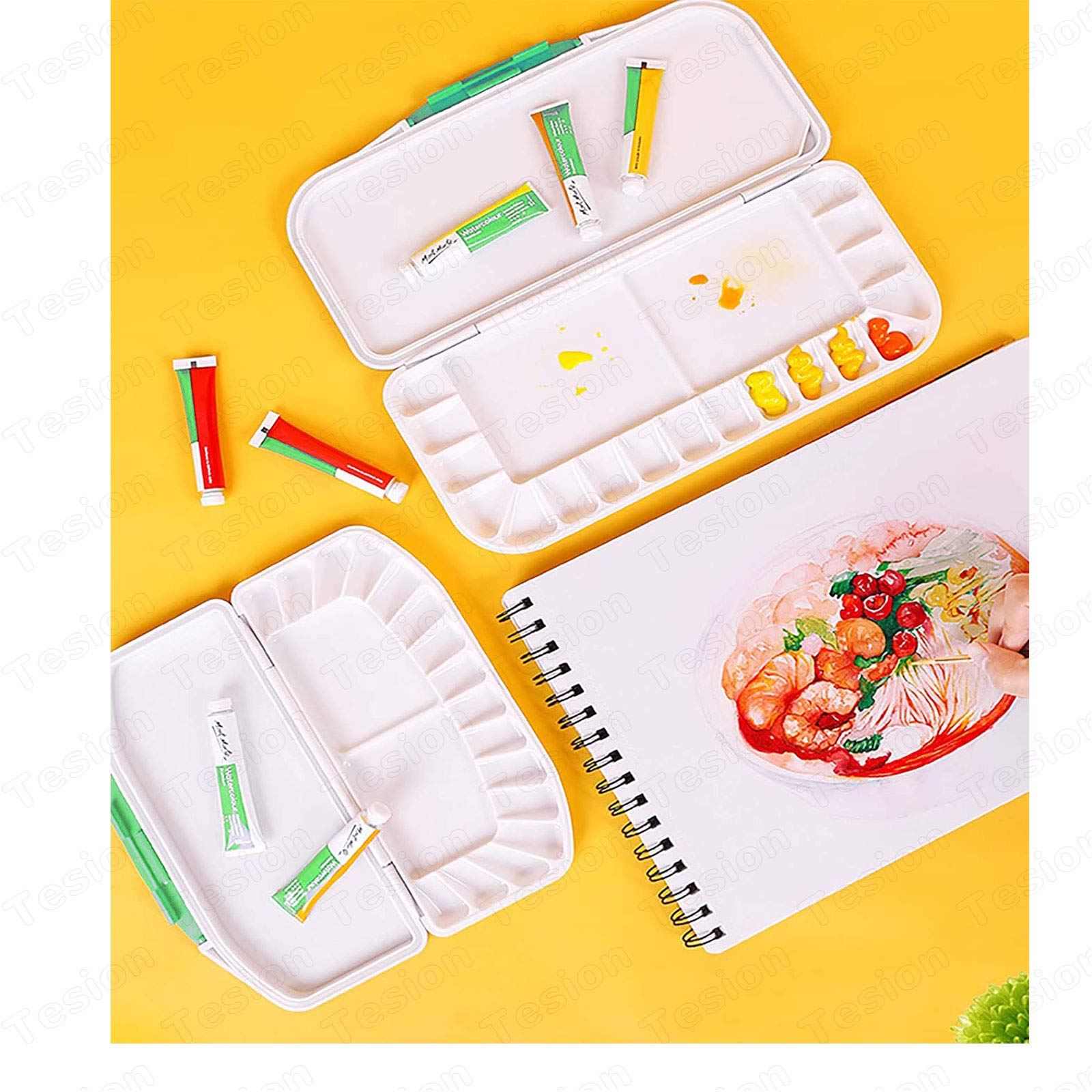 Halobios Lot De 12 Palettes De Peinture Rondes Pour Acrylique