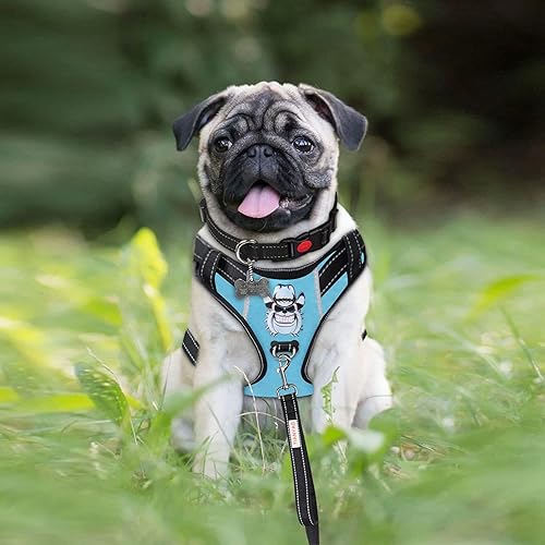 No-Pull Dog Harness Set Reflective Adjustable Oxford Soft Dog Vest Easy Control Padded Harness Breathable for Medium Large Dogs with Leash and Collar (Medium(Chest19-25), Sky Blue)