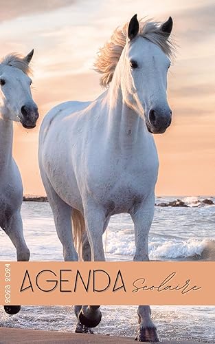 Agenda Scolaire Chevaux: Journalier | Daté | Petit format | Une page par jour | Photo Cheval Galop | Pour noter ses devoirs | Primaire Collège Lycée Étudiante | Fille Ado Girly | Équitation | A5 Rose