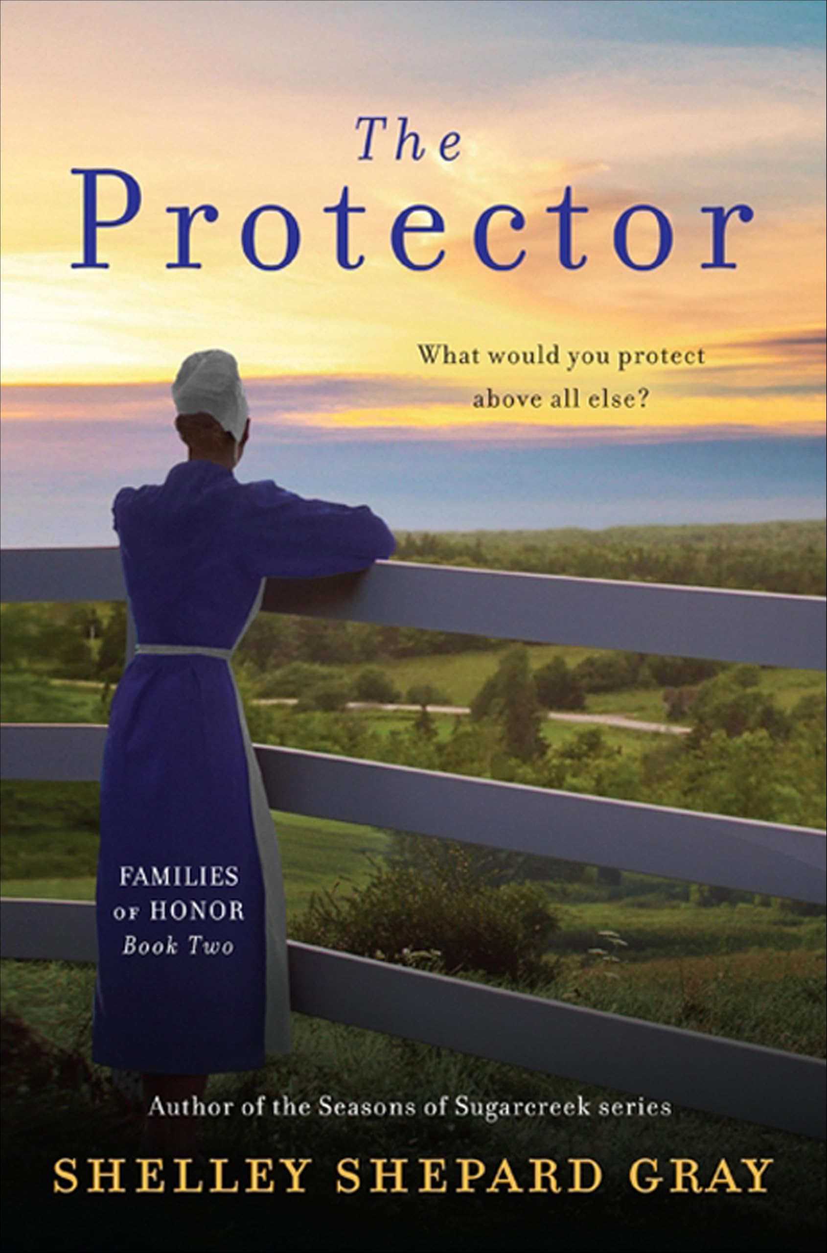 The Protector: Families of Honor, Book Two