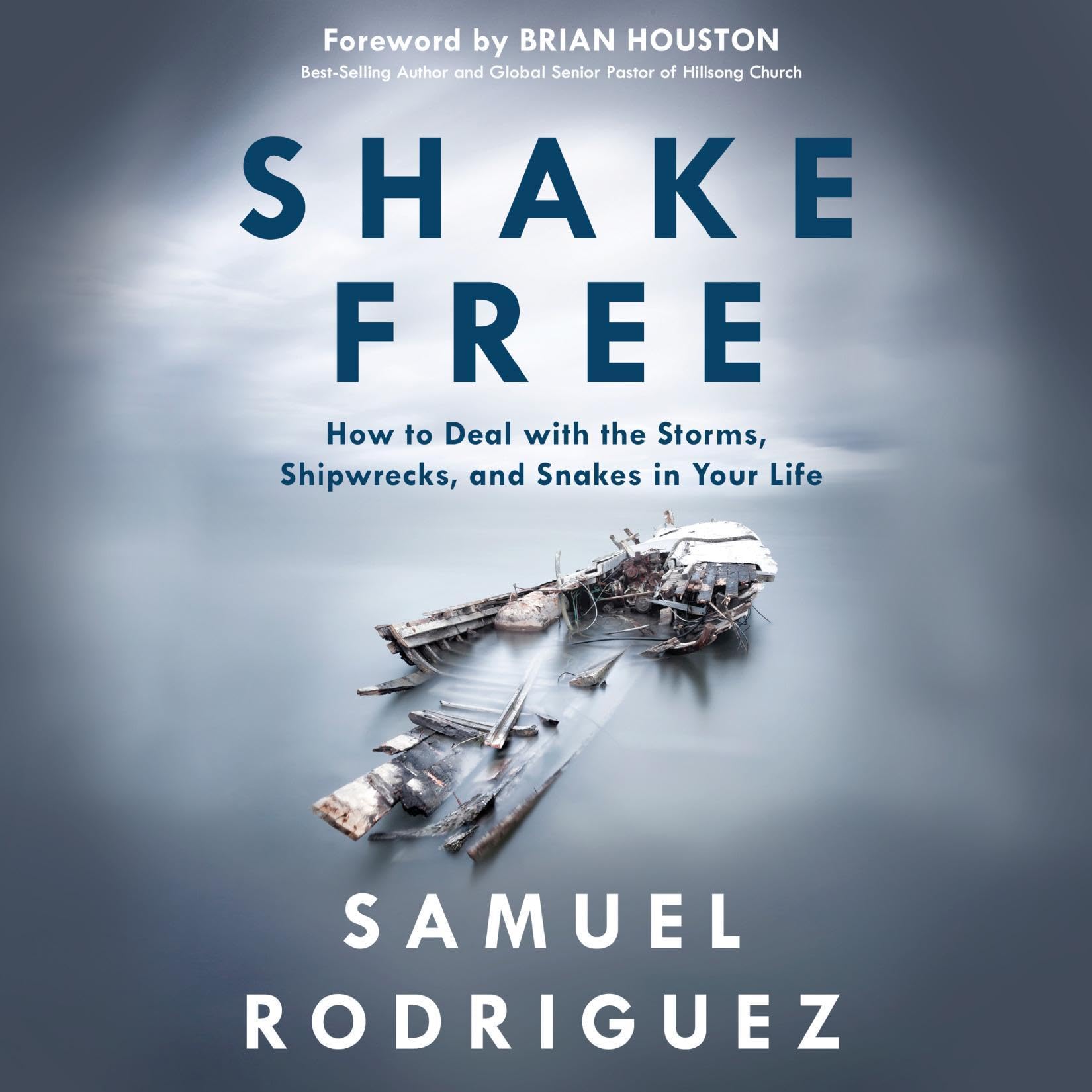 Cover art for Shake Free