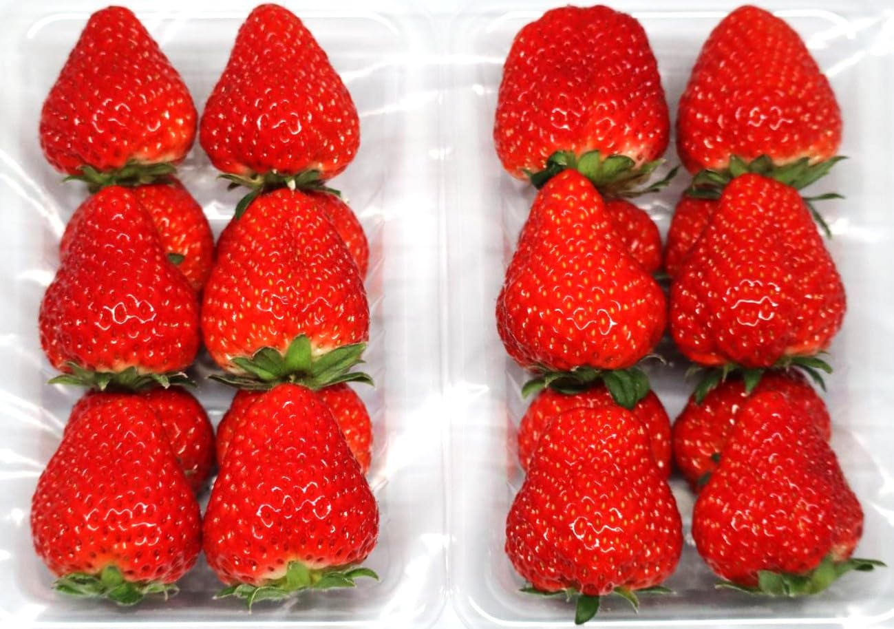 Amazon.co.jp: 【希少品種：もういっこ】大粒いちご 約250g×2パック 1