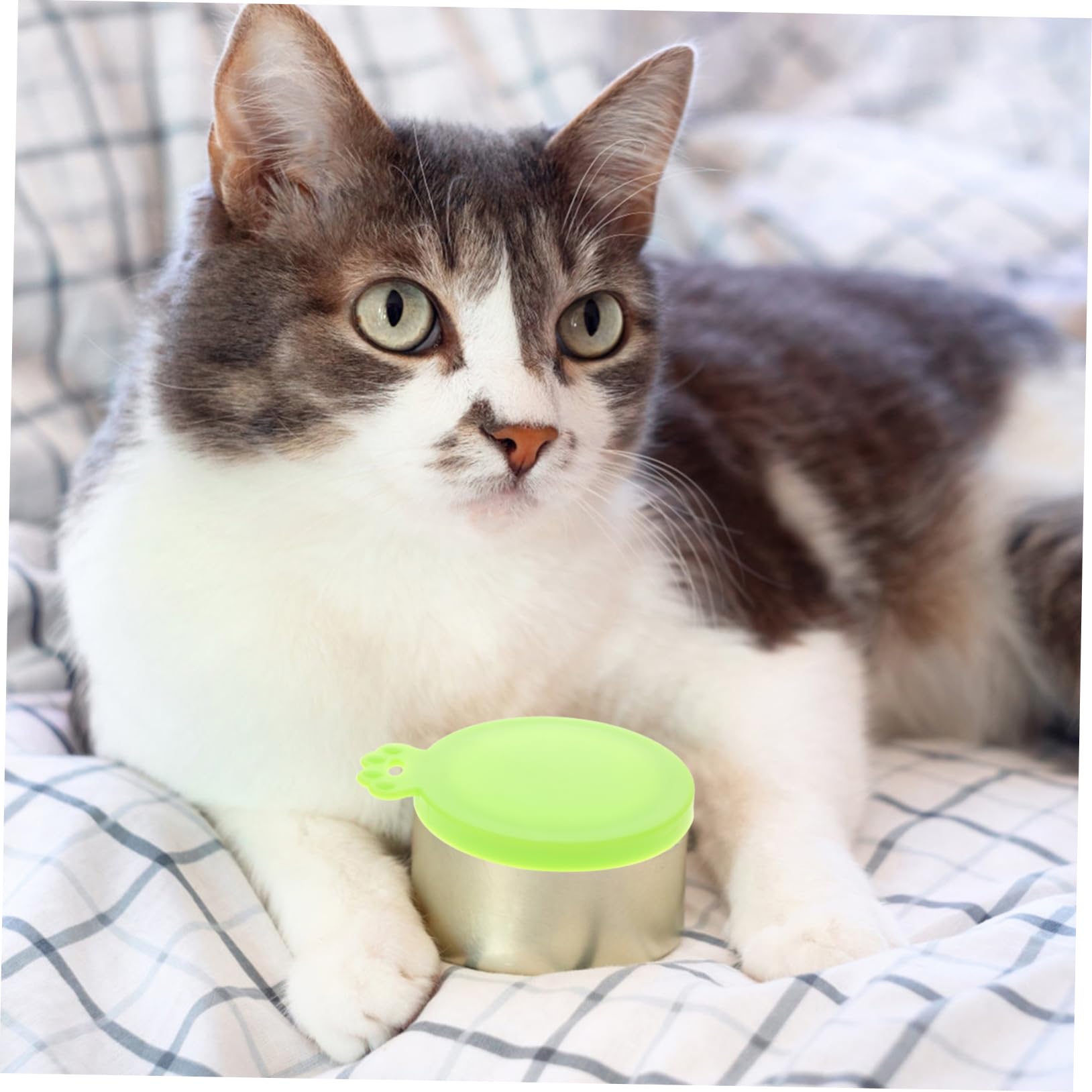 Didiseaon Canned Food Lids for Pets 3 Pack Silicone Sealing Lids Fit 65mm 75mm 85mm Freshness for Dogs Cats