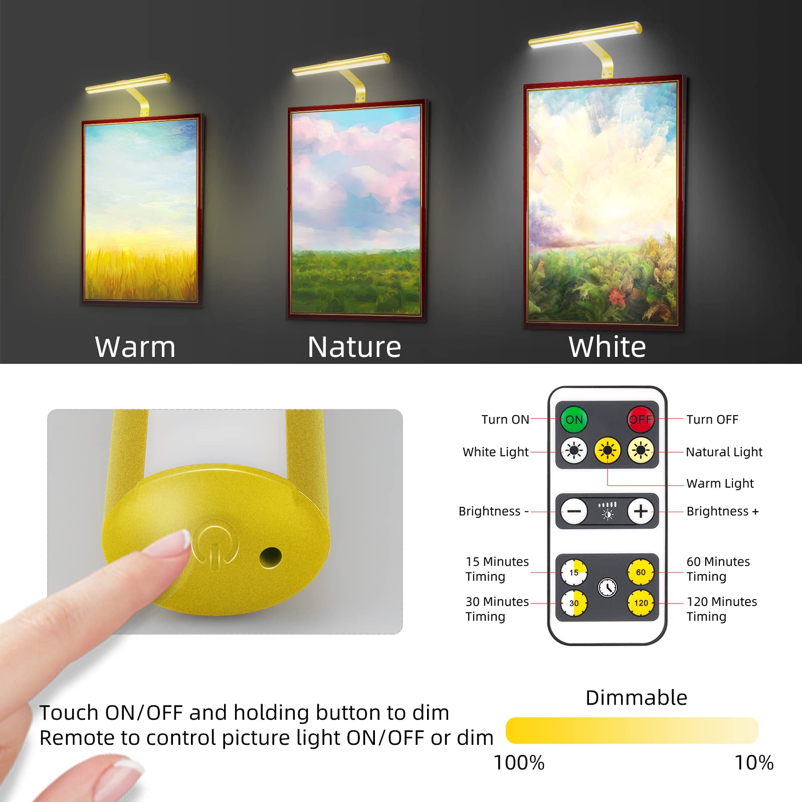 Lampe de tableau sans fil à piles, lampe de peinture rechargeable avec télécommande, lampe d'affichage à intensité variable pour cadre mural, portrait, art, cible de fléchettes, galerie, 40,6