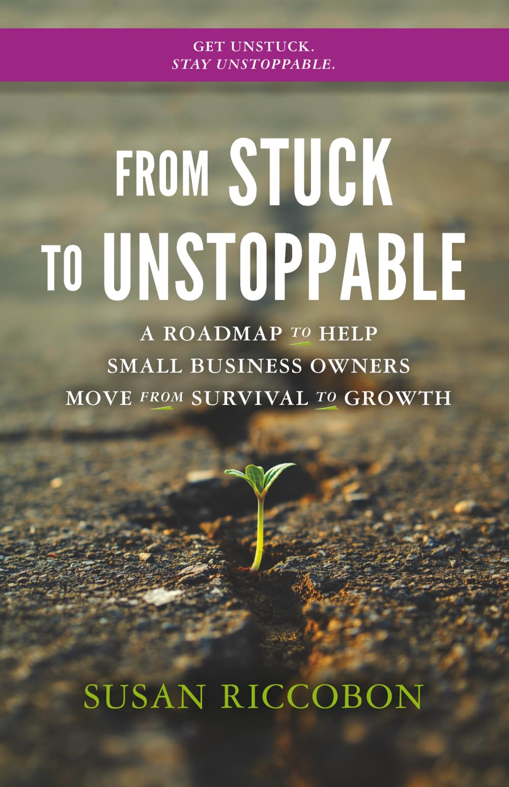 From Stuck to Unstoppable: A Roadmap to Help Small Business Owners Move from Survival to Growth: 1 (Unstoppable Small Business Owner)