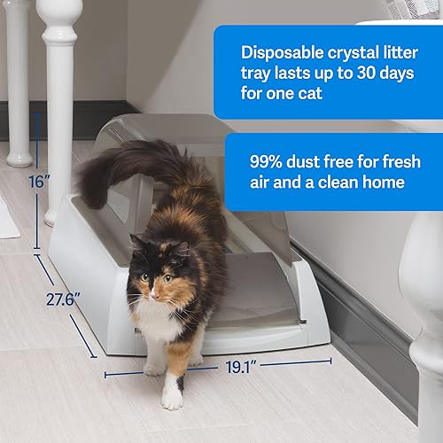 Best Automatic Litter Boxes Self Cleaning for cats In 2024