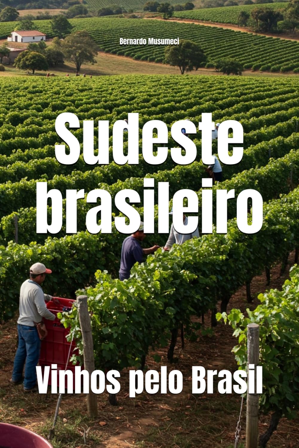 Sudeste brasileiro: Vinhos pelo Brasil (Wines of the World: Brazil)