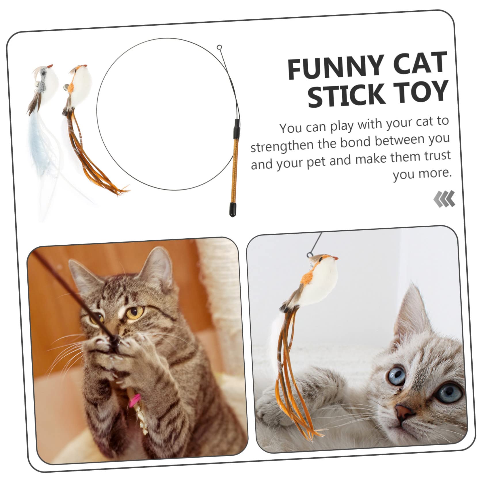 Kisangel 5sätze Katzenspielzeug Federn Interaktive Spielzeuge Für Katzen Teiliges Für Indoor-Spiel Inklusive Ersatzfedern Für Spielstab Leicht Und Langlebig Für Katzenaktivität