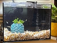 Review Image by Jaron Lin Jaron Lin