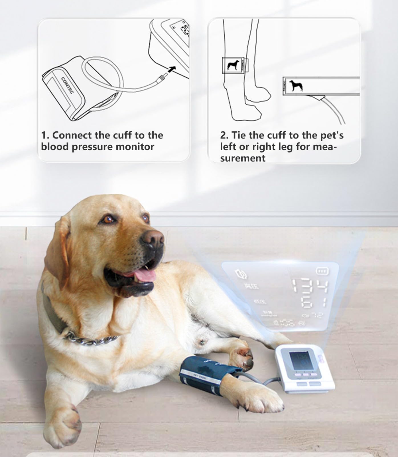 Máquina BP para Uso Animal, Digital Veterinario Medidor Tension Arteria, Medidor Tension Arterial con 3 Puños,100 Juegos De Memoria Almacenada para Perros Gatos Mascot,Tensiometro De Brazo