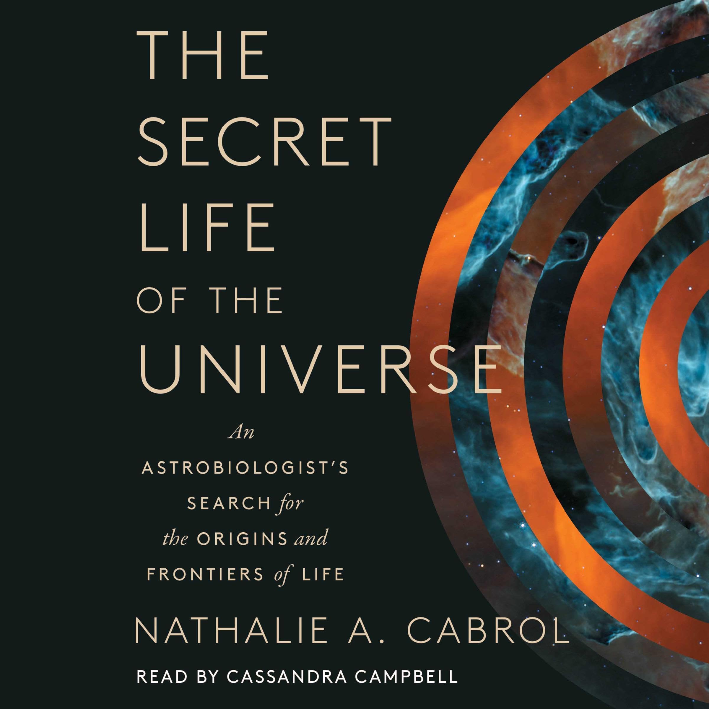 Cover art for The Secret Life of the Universe