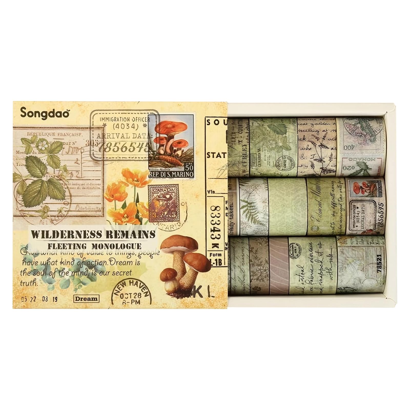 TSLBW 20 Rolls Washi Tape Sets Scrapbooking & Stamping Supplies Decorative Tape Multi-Patter Craft Tapes for DIY Journal Craft Gift Wrapping Scrapbooking (Style B)