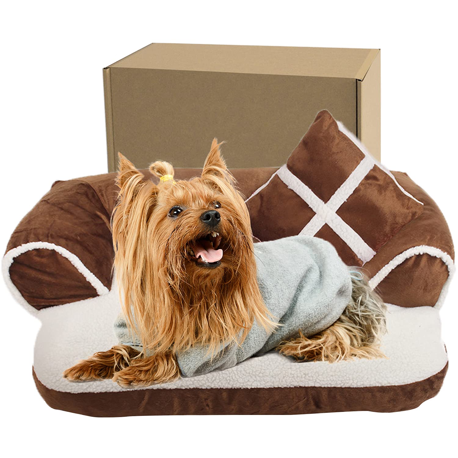Why Does My Puppy Attack His Bed