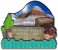 Vista 1 de Petrified Forest National Park Arizona USA - Imanes para refrigerador, productos de madera 3D, resistentes a la fricción, recuerdos de viaje