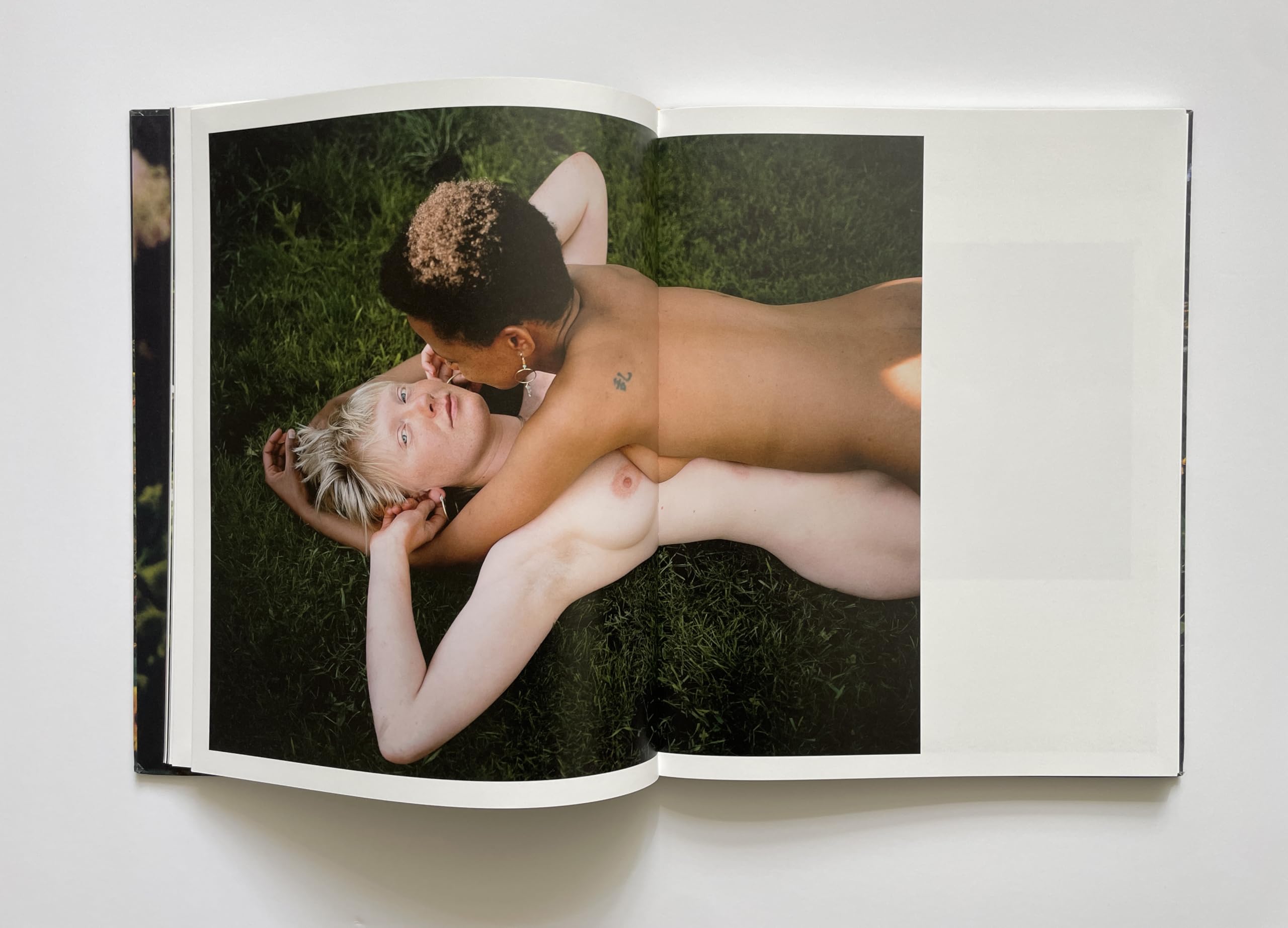 SiAn Davey: The Garden /anglais