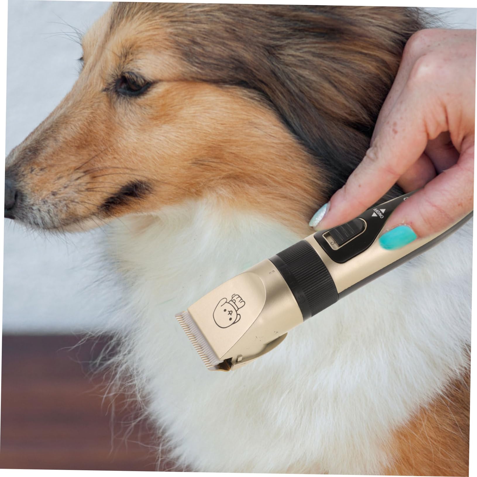 Tagliapeli Elettrico per Cani e Gatti, Set 4 Pezzi, 1200mah | Alimentazione Via Cavo, Prevenzione della Ruggine, Materiali Ceramica, Metallo e Abs