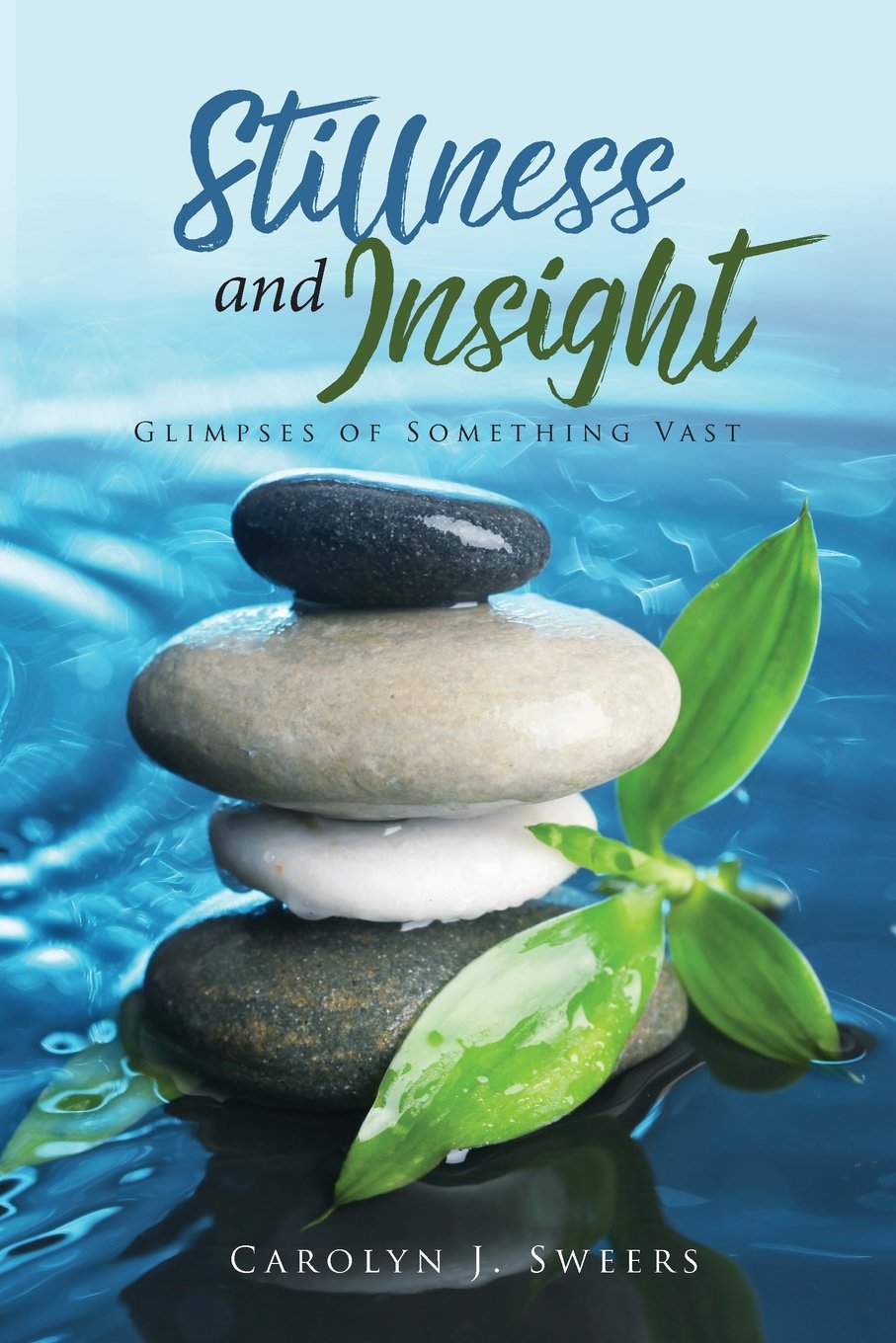 Buy Stillness and Insight: Glimpses of Something Vast — BookShops.in
