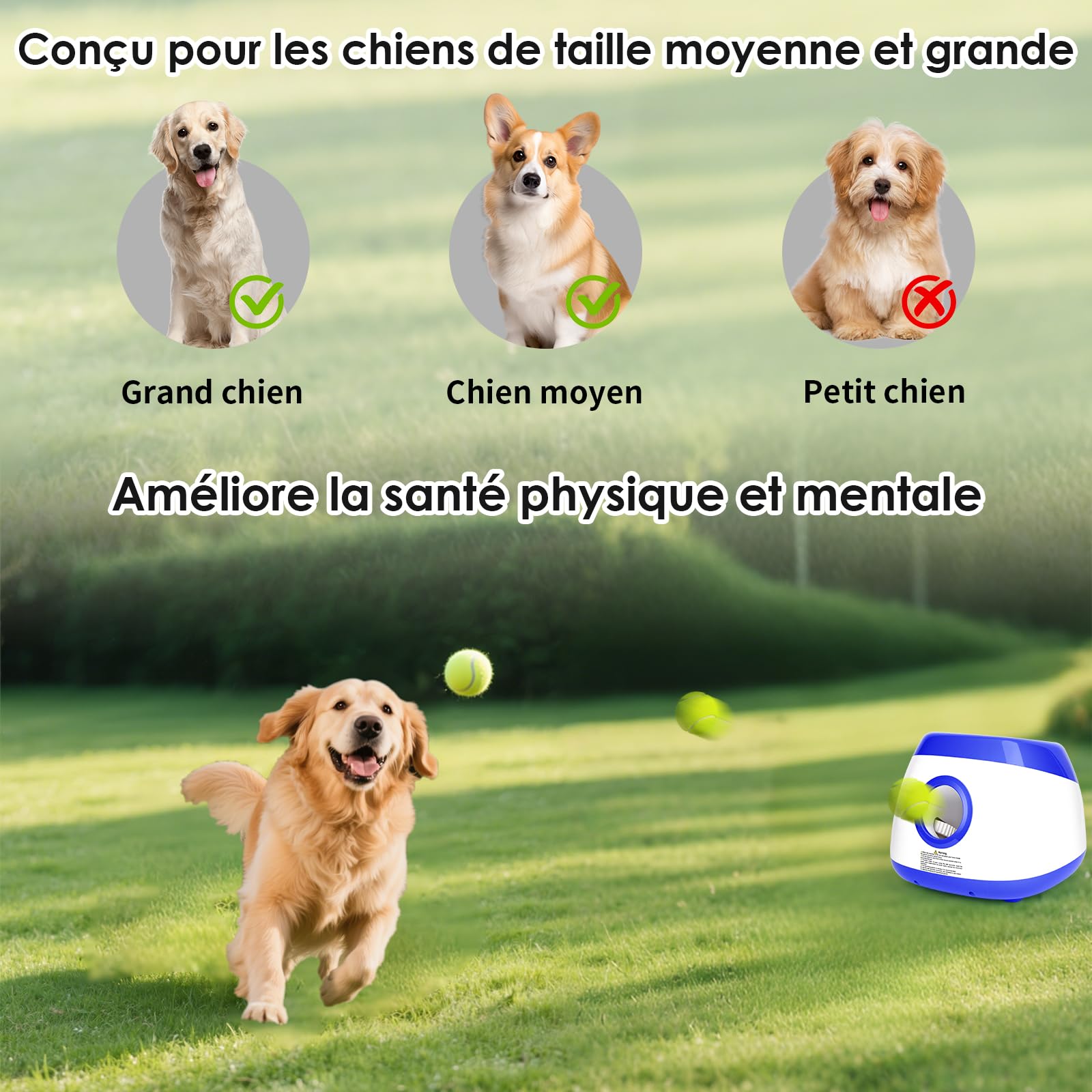 Lanceur de Balle pour Chien Automatique Jeu Intelligence Chien Balles de Tennis pour Chiens de Grand et Moyenne Taille