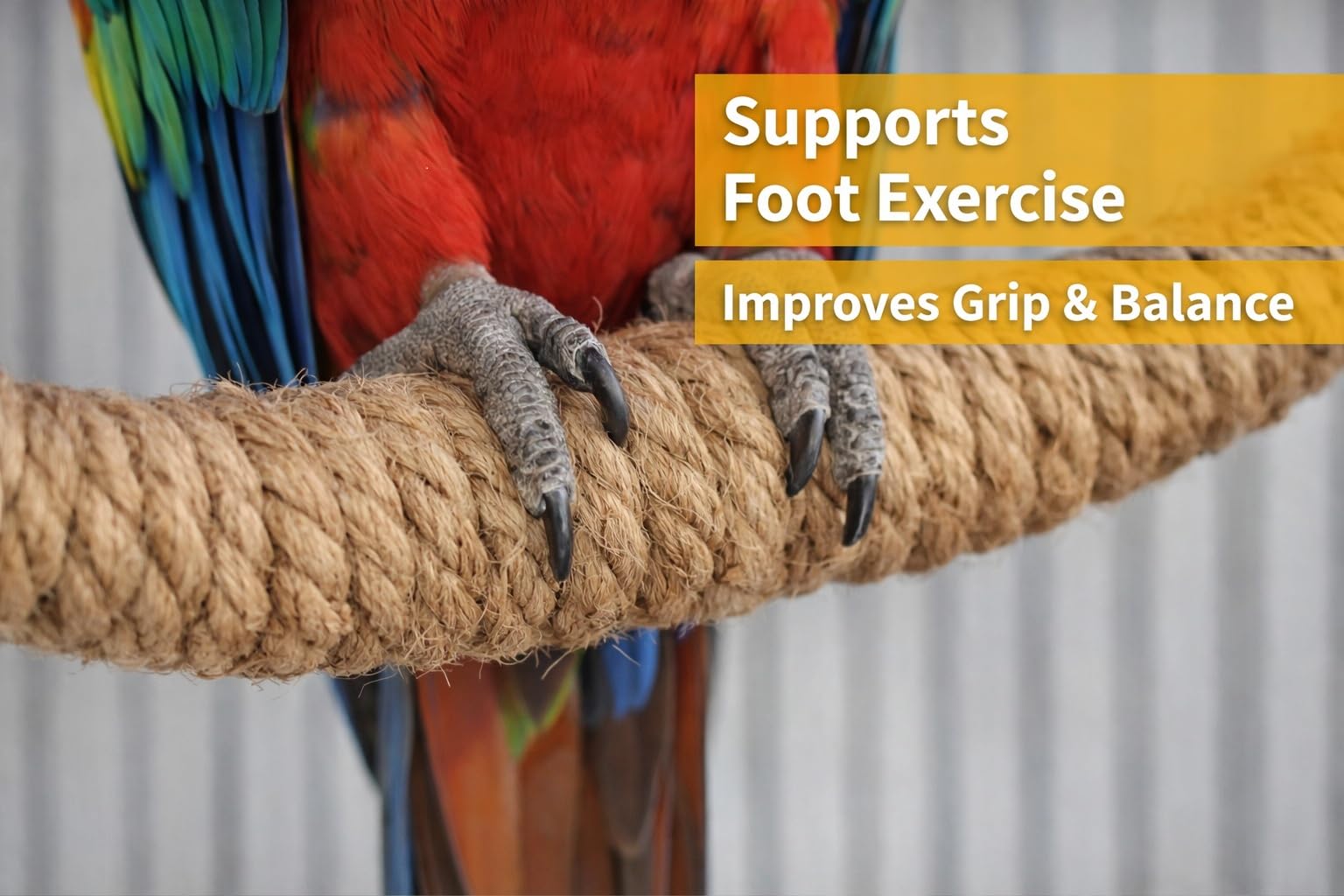 KSK Bird Swing for Parrots – Natural Jute Rope Circle Swing Toy | Heavy Duty Hanging Ring Perch | Bird Swing Toy for Cage | Medium Large Birds (African Grey, Amazon, Cockatoo, Macaw) 4