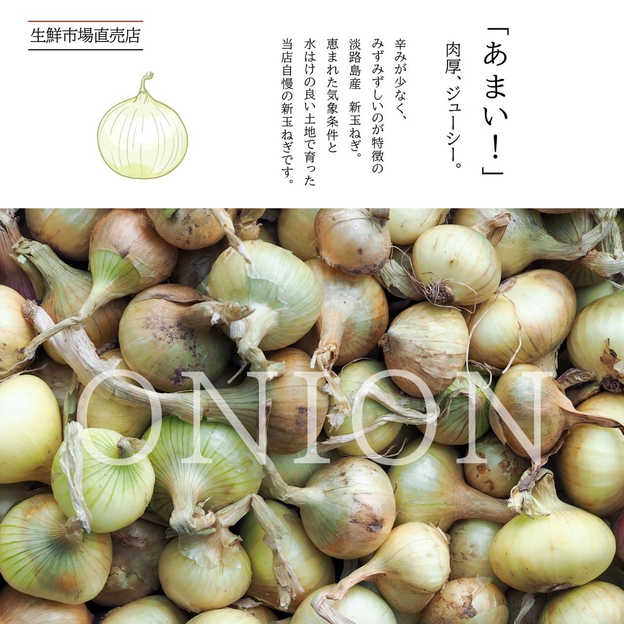 Amazon.co.jp: 【淡路島の大きな甘いたまねぎ】玉ねぎ 5kg 淡路島産