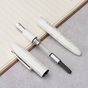 Amazon.com : Hongdian N23 White Rabbit Fountain Pen, Long