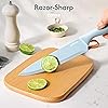 Product Photo 5
