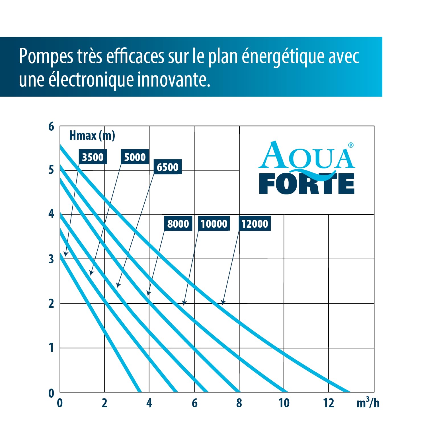 Pompe de Bassin Aquaforte dm 3.500 Basse Tension 12V, 30 W, Débit max. de 3 500 Litres par Heure, Hauteur maximale de 3 m, Protection Automatique Contre La marche à Sec, Longueur Du Câble 10 m