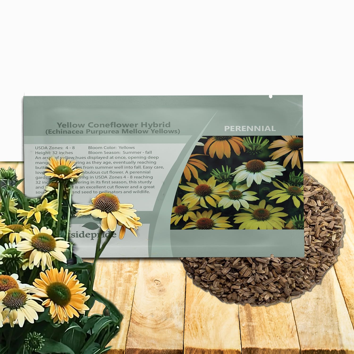 Outsidepride Mellow Yellows Echinacea Coneflower Seeds - 50 Pcs Perennial, Deer-Proof & Drought Tolerant Flower Seeds with Daisy-Like Blooms for