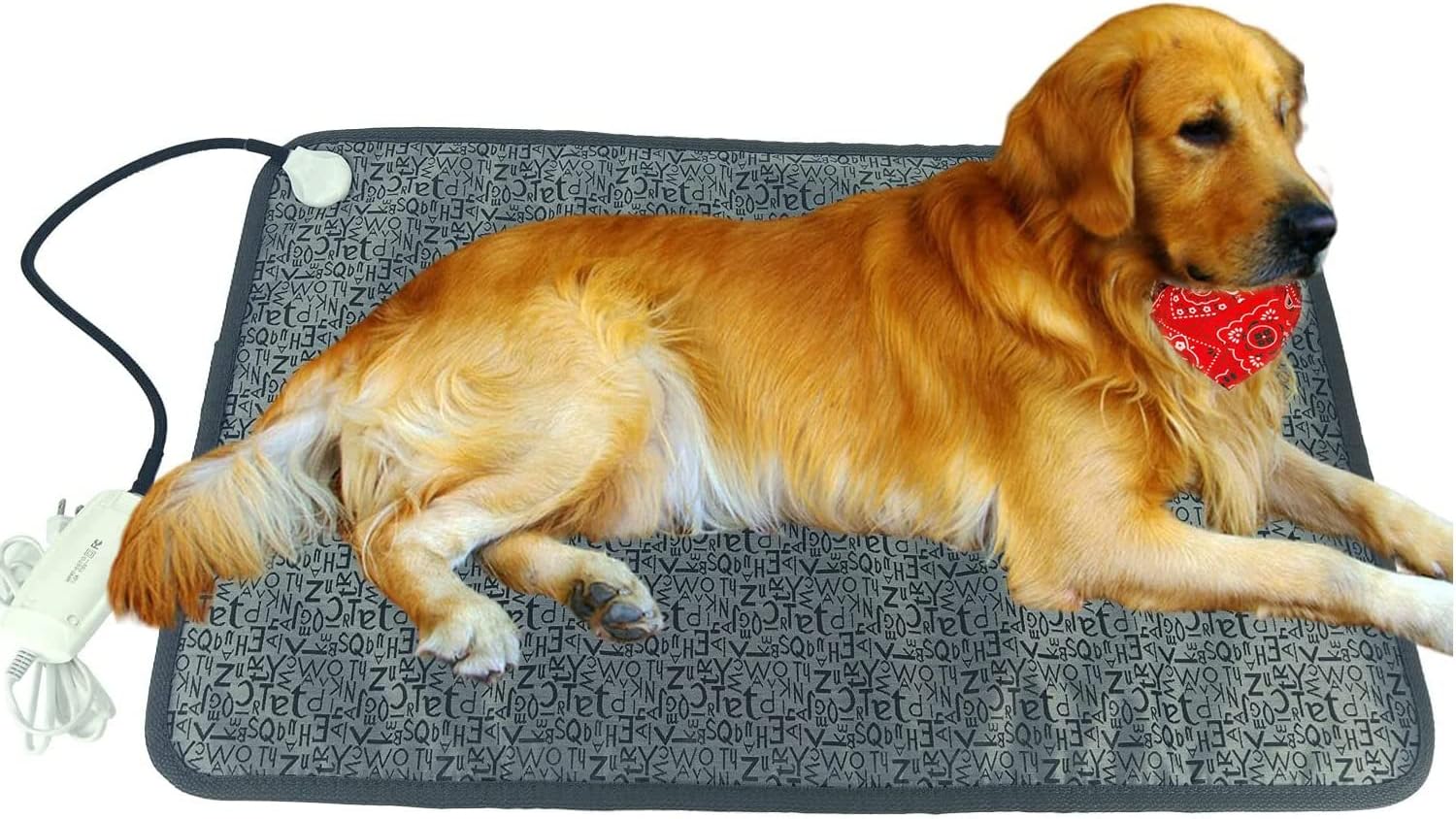 Are Electric Heated Dog Beds Safe