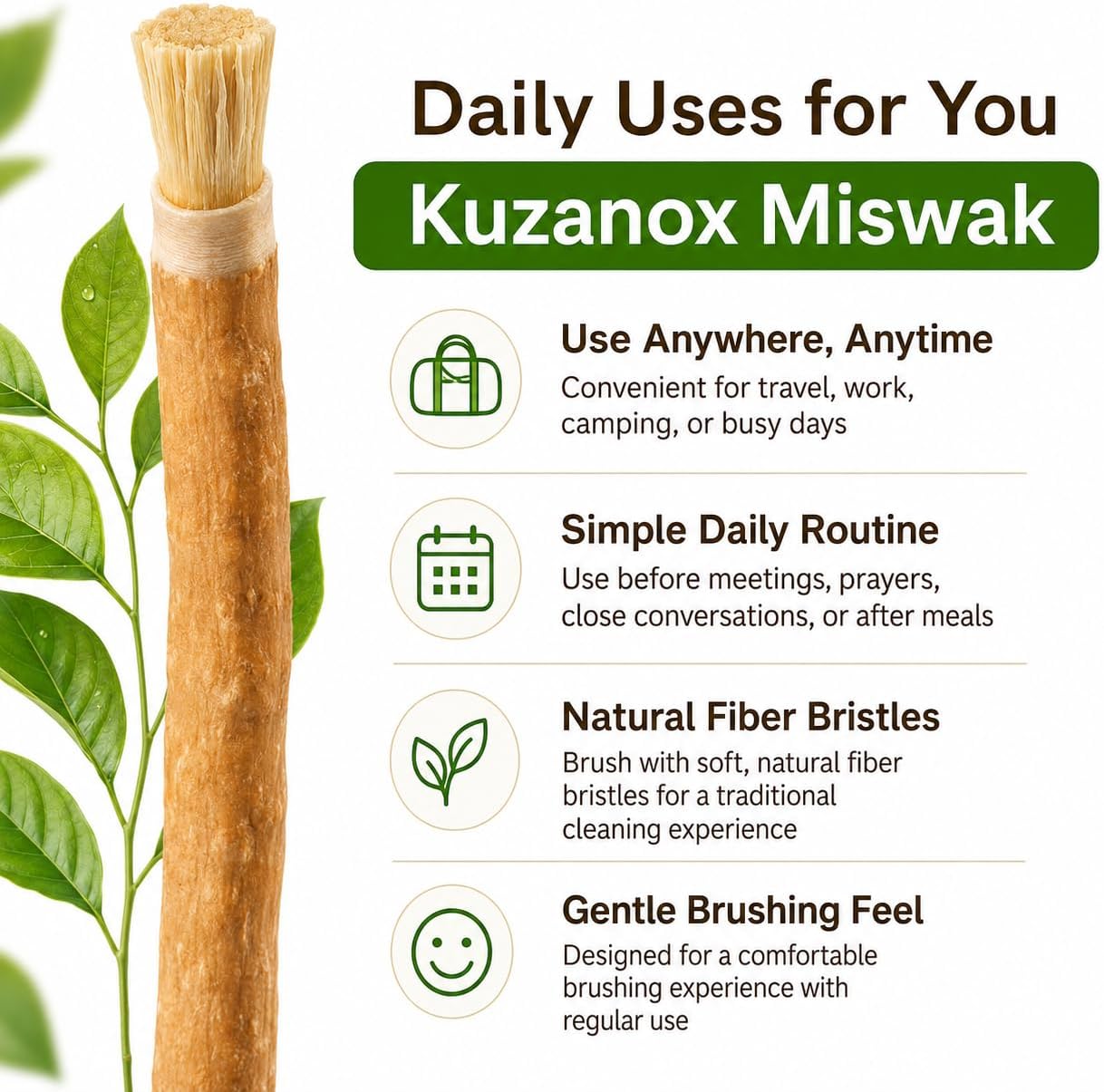 Miswak Sticks for Teeth Pack of 6 with Holder, Natural Toothbrush for Healthy Gums, Teeth and Fresher Breath, Supports Teeth Whitening, Organic Wooden Vacuum Sealed Sticks image 5