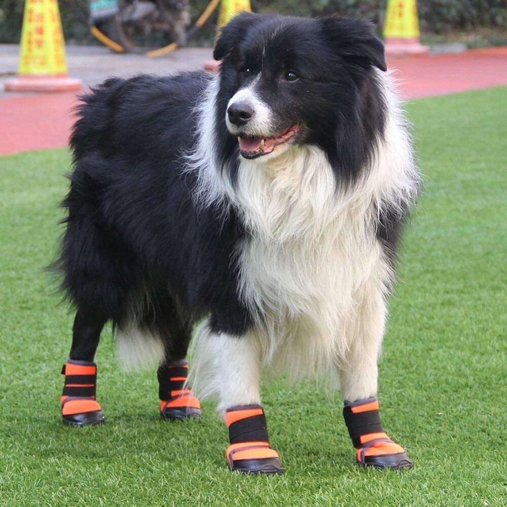 Zhexundian 2020 Zapatillas de Deporte de Perro, Pequeño Mediano Grande Perro de Deportes al Aire Libre Perro Botas, Escalada Zapatos Impermeables for Perros de tamaño Antideslizante